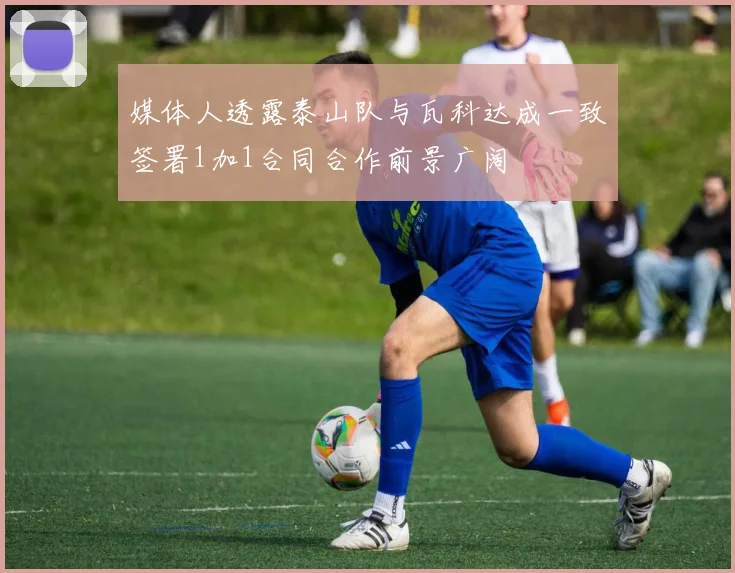 媒体人透露泰山队与瓦科达成一致签署1加1合同合作前景广阔